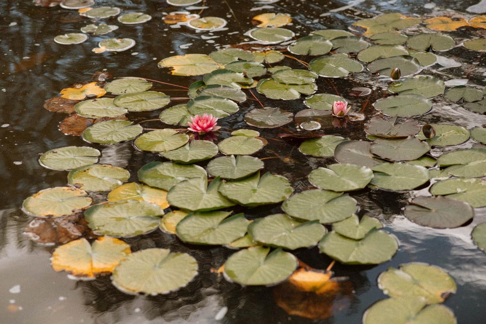 saskia fotografía, fotografo en salamanca, fotografo de bodas en salamanca, agua