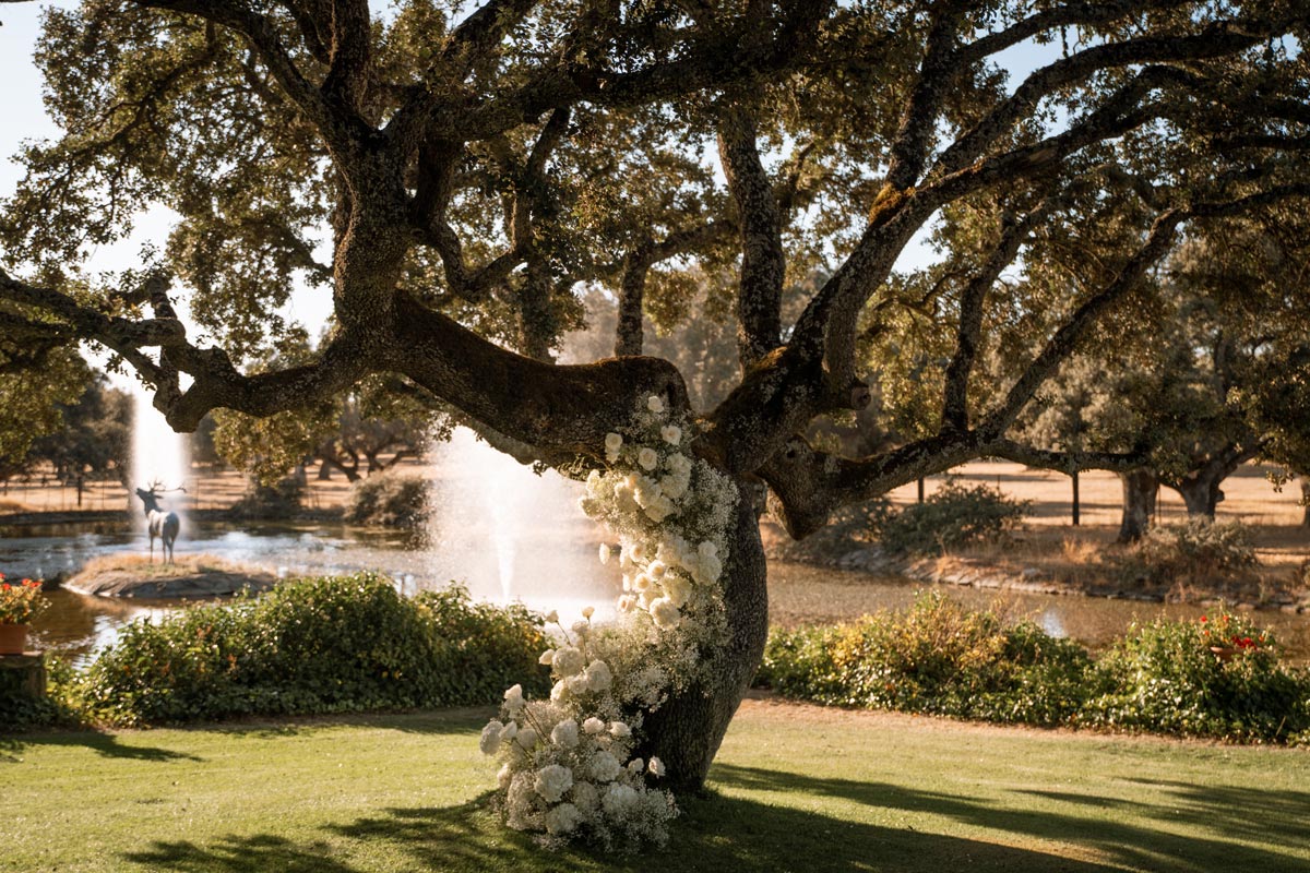 saskia fotografía, fotografo en salamanca, fotografo de bodas en salamanca, arbol con flores