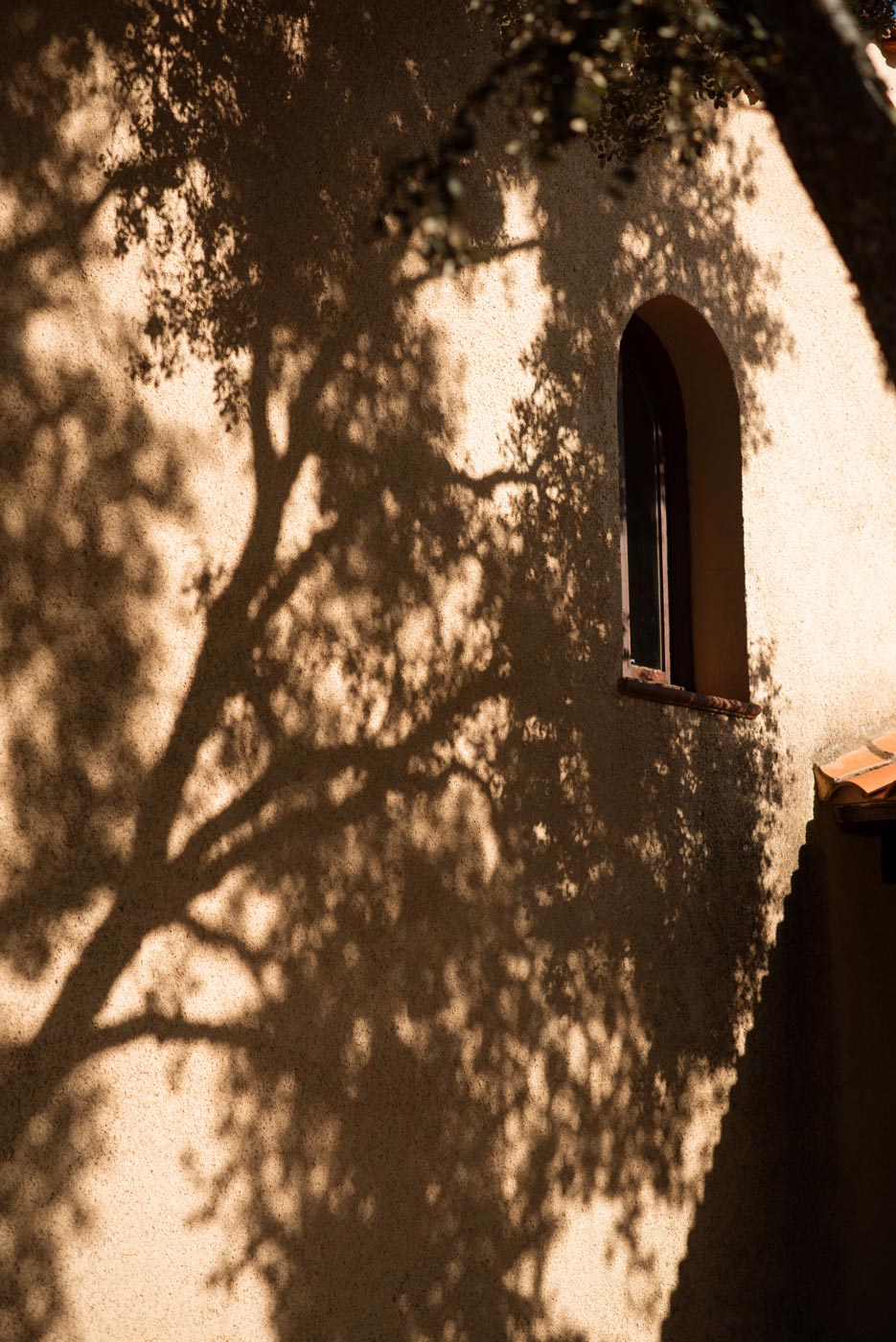 saskia fotografía, fotografo en salamanca, fotografo de bodas en salamanca, detalles de sombras