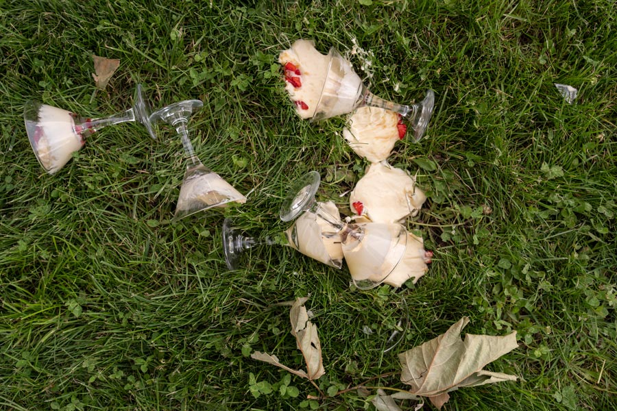 saskia fotografía, fotografo en salamanca, fotografo de bodas en salamanca, cena de la boda, copas en el cesped