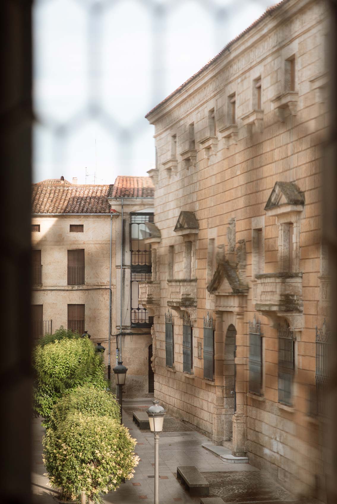 saskia fotografia boda de andrea y juanu, ciudad rodrigo