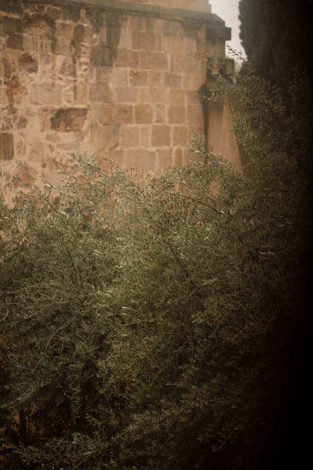 saskia fotografia boda de inés y ángel, salamanca